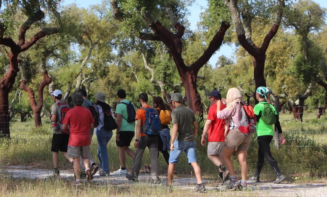 Animação turistica percursos-pedestres