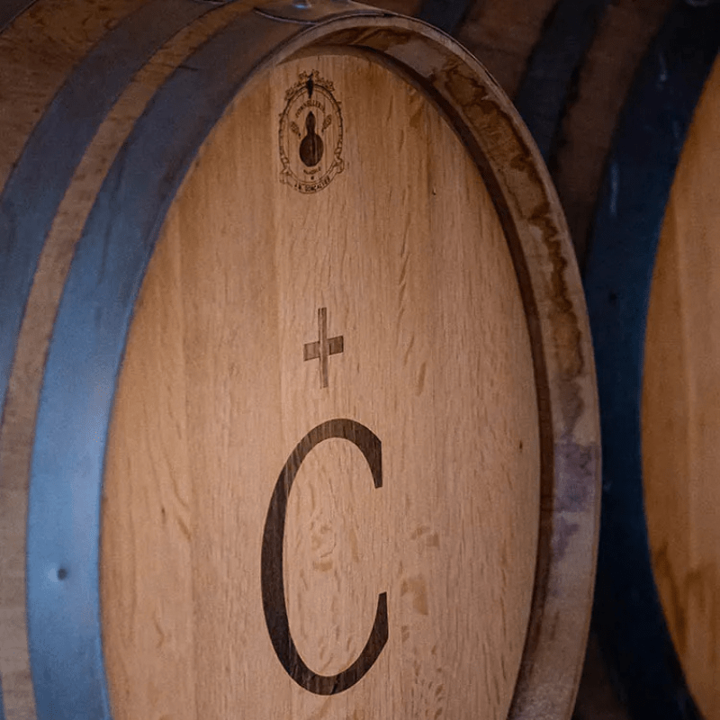 Design sem nome (29)