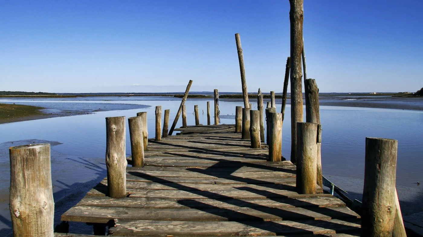 Estuario-do-sado.jpg