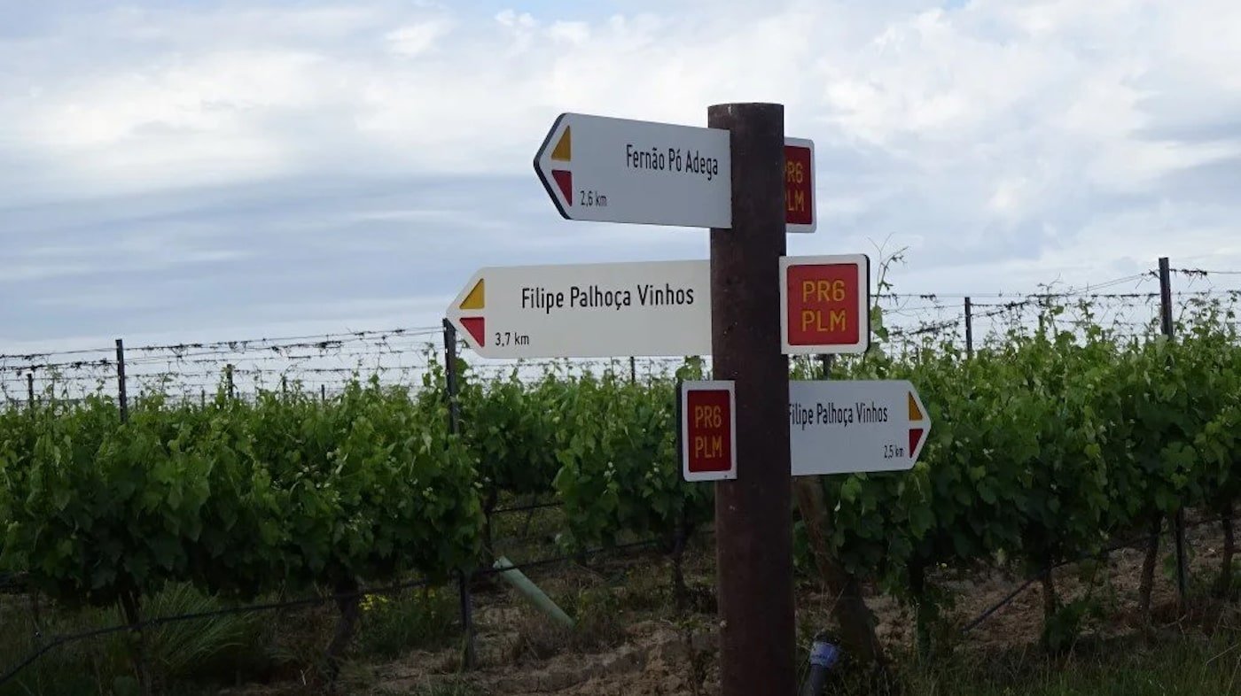 Rota 6 Jardins da Vinha Percurso pedestre