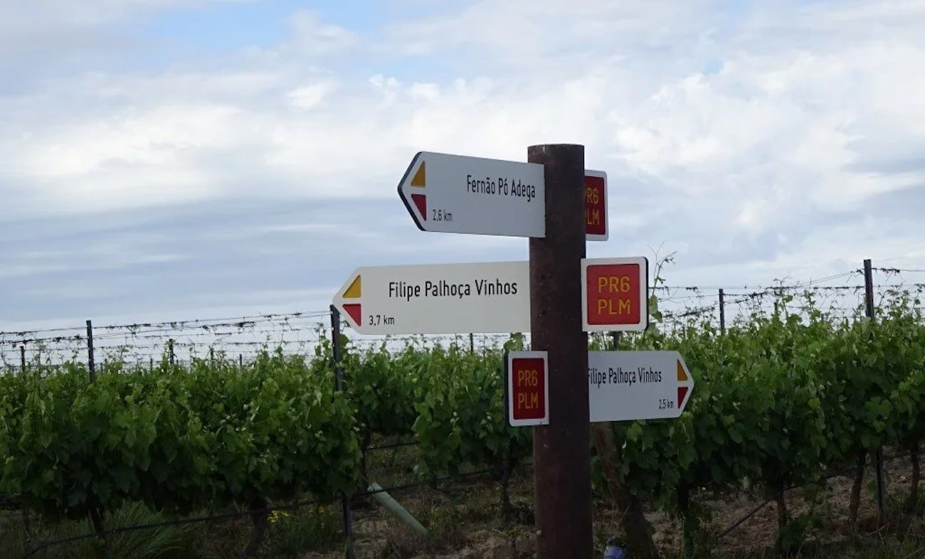 Sinalizacao-percurso Rota 6 - Jardins de Vinhas - Percurso Pedestre