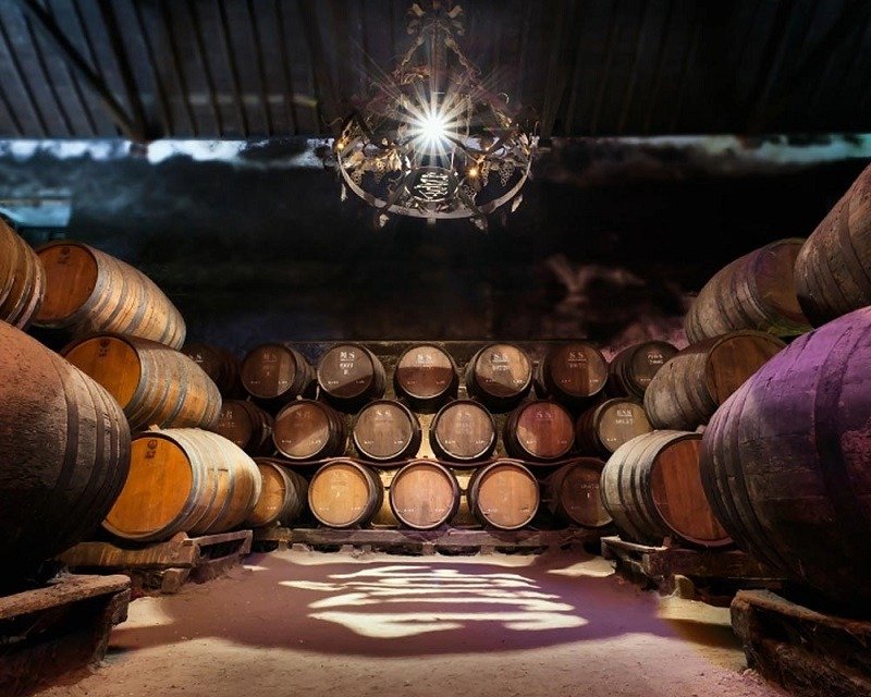 enoturismo-casa-museu