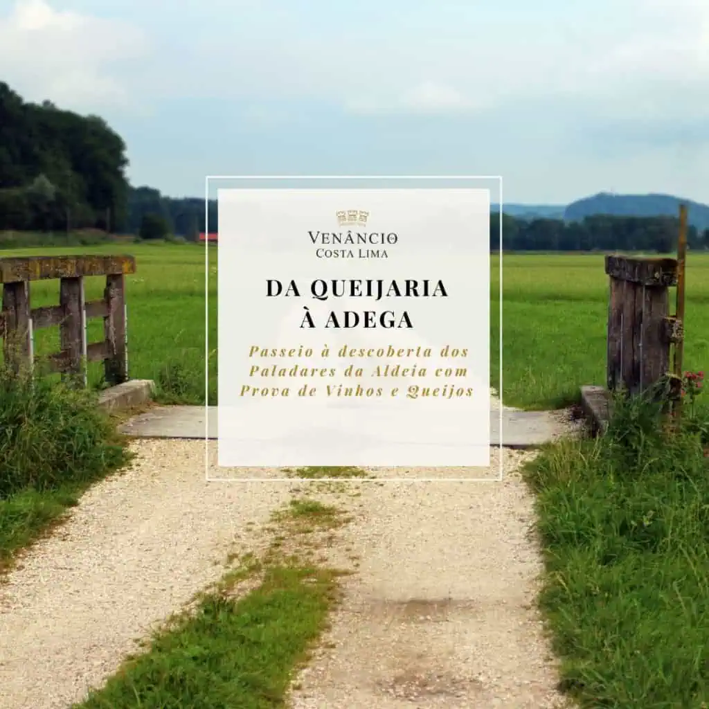 queijaria