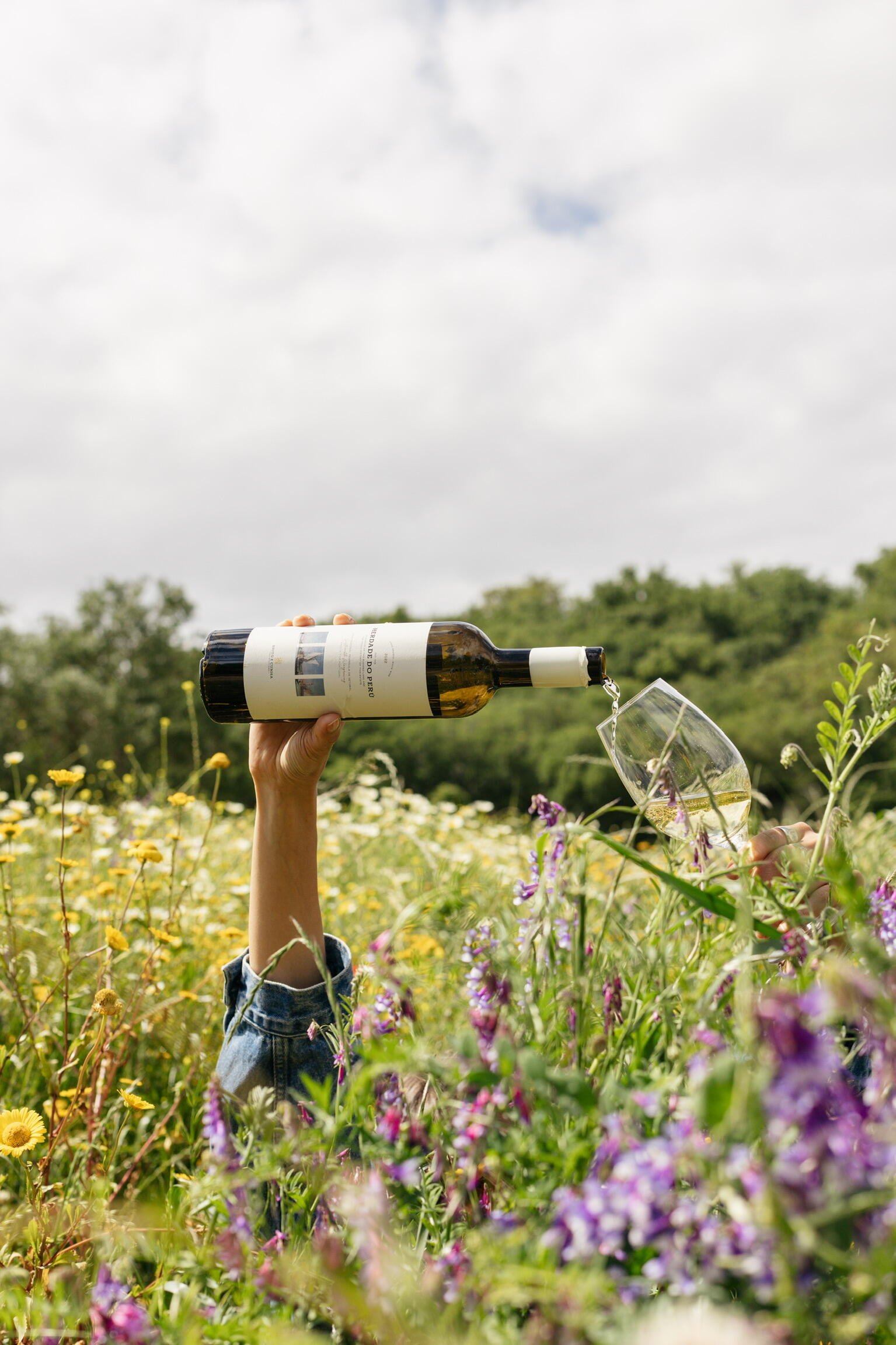 10118243773855O_1920