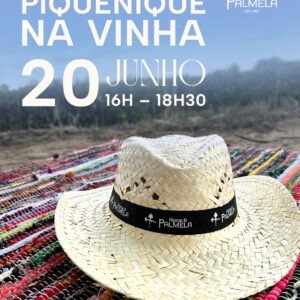 Piquenique na Vinha
