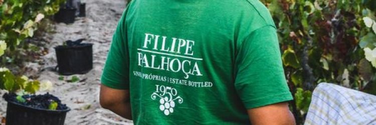 filipe palhoça